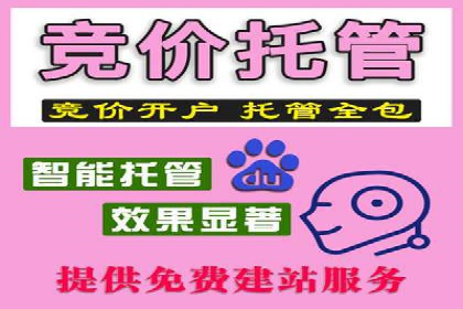 百度SEM竞价推广的关键词选择与优化：一则成功的广告案例